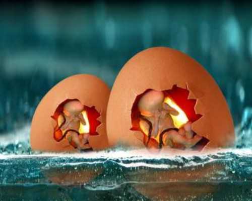 广州做供卵试管被骗的全过程,广州正规供卵机构生子排名前十公布，附医院名