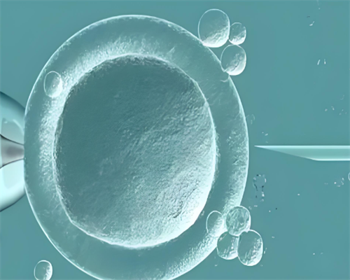 专业助孕流程与供卵医院选择指南