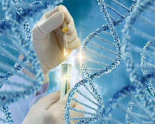 长沙供卵试管医院选择指南与费用医生解析