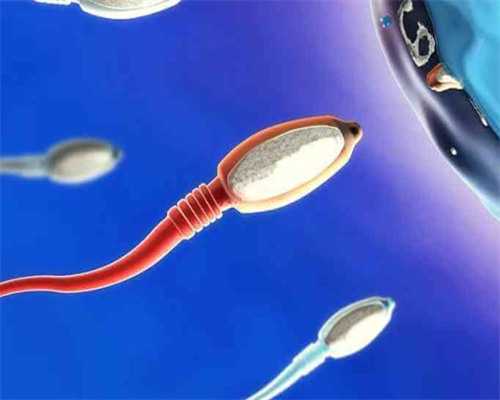 揭秘非法助孕机构：女大学生捐卵还贷的黑暗真相