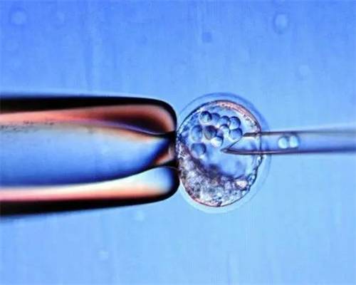 湖南靠谱试管私人医院选择指南与高龄助孕建议