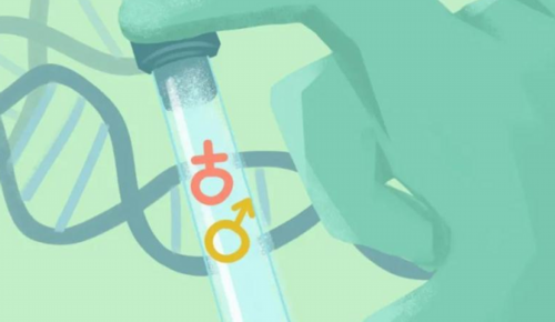 助孕与供卵费用解析：代生代怀价格指南