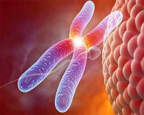 2026长沙供卵生男孩费用明细及助孕机构选择指南