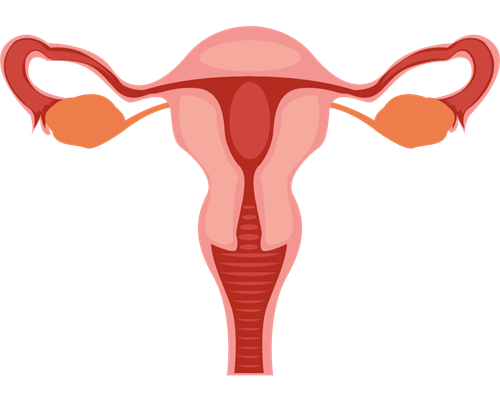 2026年湖南生育津贴政策解析与申领指南