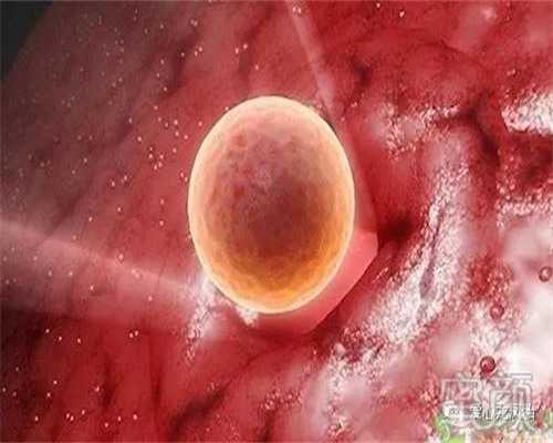 长沙试管婴儿医院选择指南：专业代生助孕机构推荐