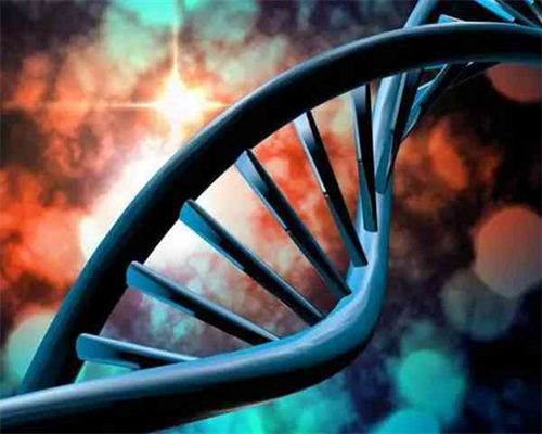 三代试管婴儿技术解析与助孕突破