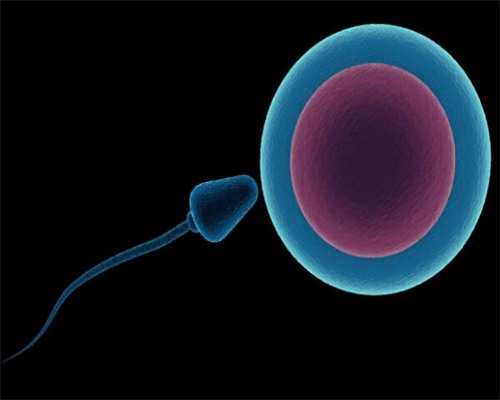 长沙试管助孕机构电话与公立医院成功率对比