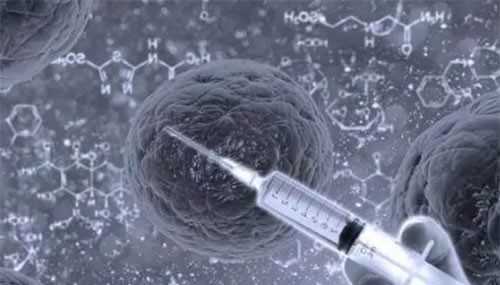 借卵试管助孕费用与流程全解析