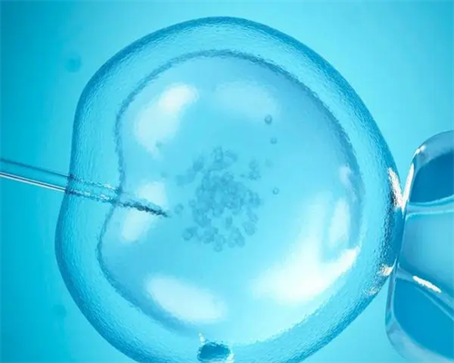 国内代孕机构与湘雅医院擅长领域对比分析