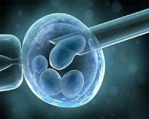 湖南2026年最新试管婴儿医院排名及助孕选择指南