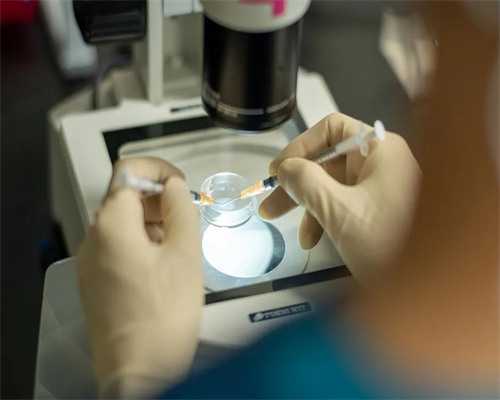 2026长沙湘雅医院三代试管婴儿成功率解析与代怀服务指南