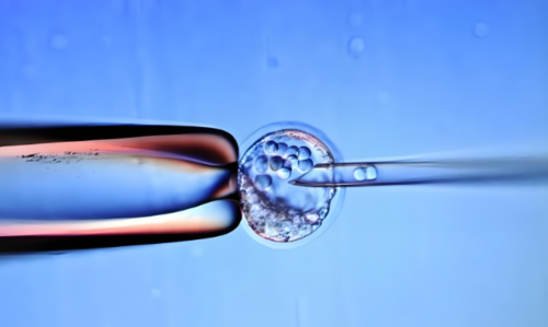 试管婴儿私人医院最新排名与比较