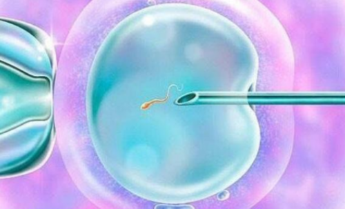 湖南试管婴儿治疗是否必要？全面分析与选择建议