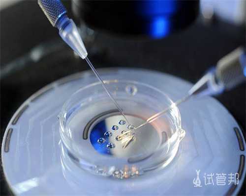 长沙试管助孕医院排名与选择指南 长沙有哪些可靠的试管机构