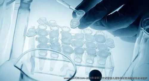 专业代怀医院与供卵借腹生子中心，试管婴儿双胞胎服务指南