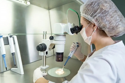 长沙试管助孕医院哪家更专业？权威推荐与选择指南