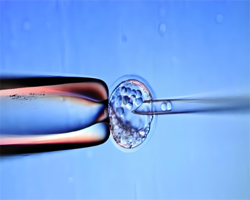 2026长沙供卵生男孩费用明细及代怀公司机构选择指南