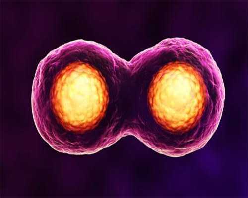 长沙试管医院成功率排名及选择指南，助孕服务全面解析