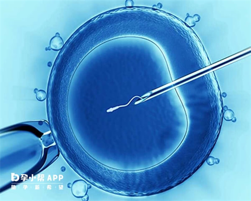 试管代生机构选择指南与医院排名解析
